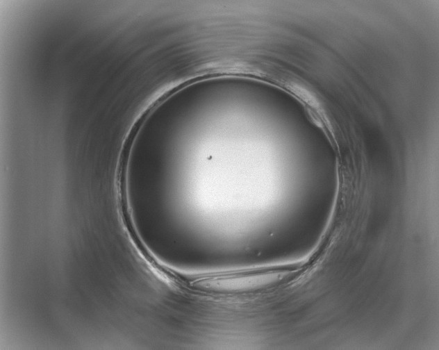 X0000070201141200606091552