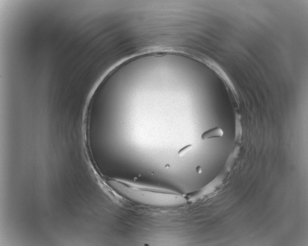 X0000070201148200606091552