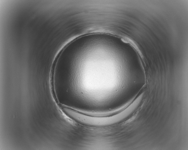 X0000070201149200606091552