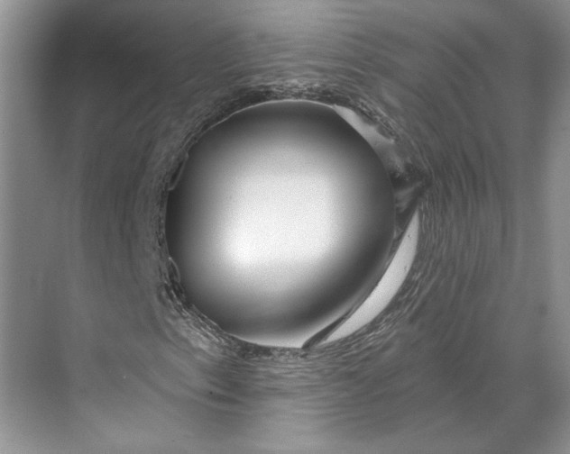 X0000070201153200606091551