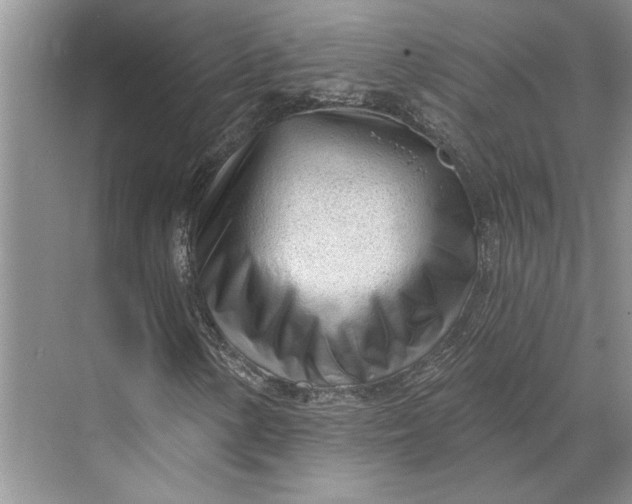 X0000070201154200606091551