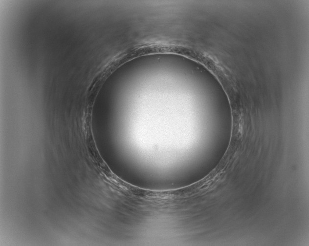 X0000070201157200606091551