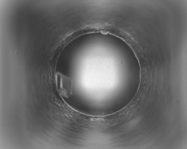X0000070201158200606091551