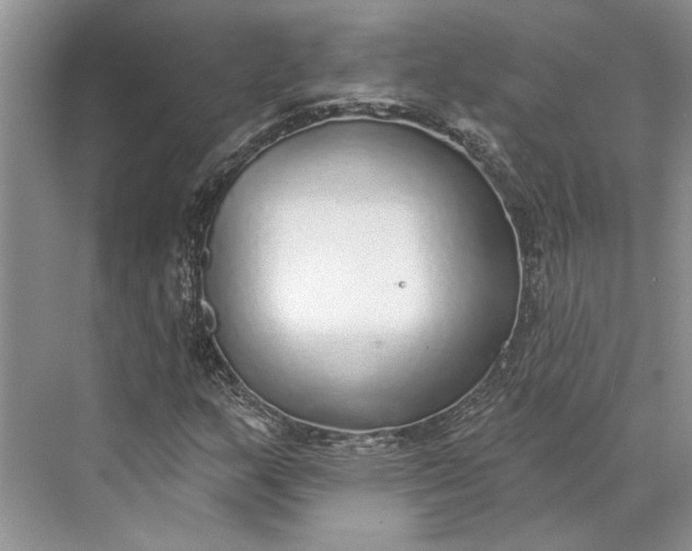 X0000070201159200606091551