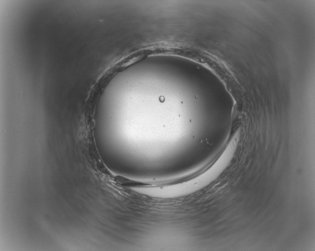 X0000070201160200606091551