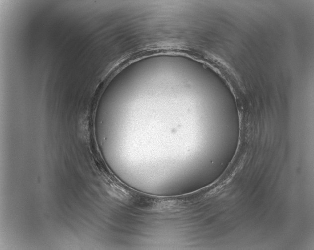 X0000070201162200606091551