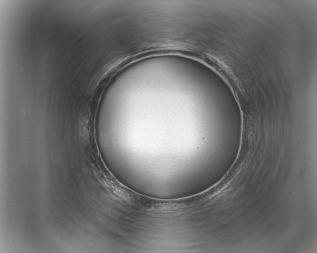 X0000070201163200606091551