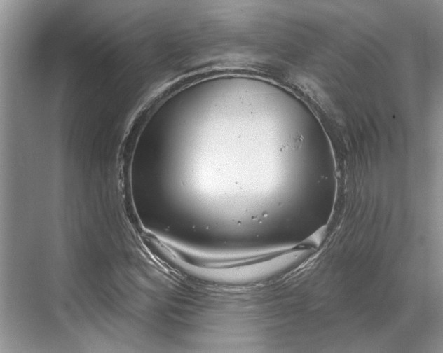 X0000070201164200606091551