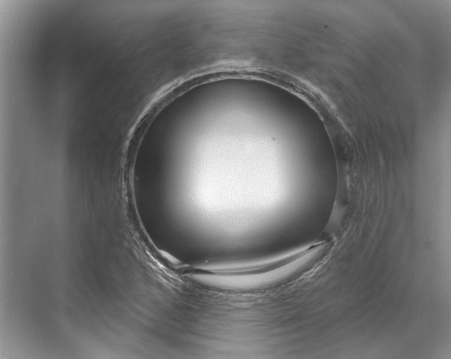 X0000070201168200606091551