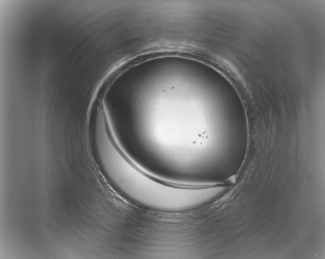 X0000070201172200606091551