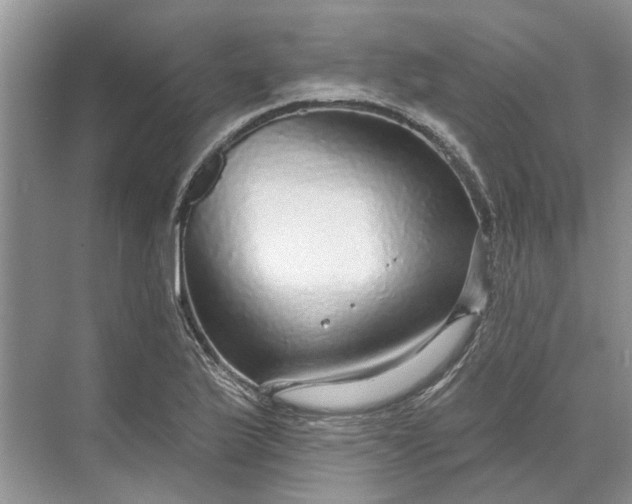 X0000070201175200606091551