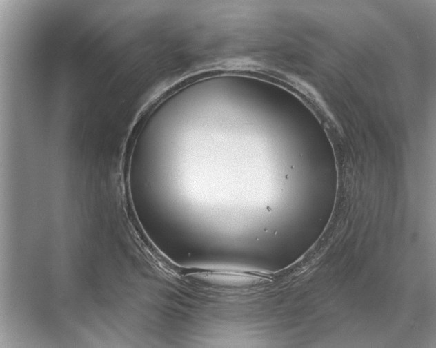X0000070201176200606091551