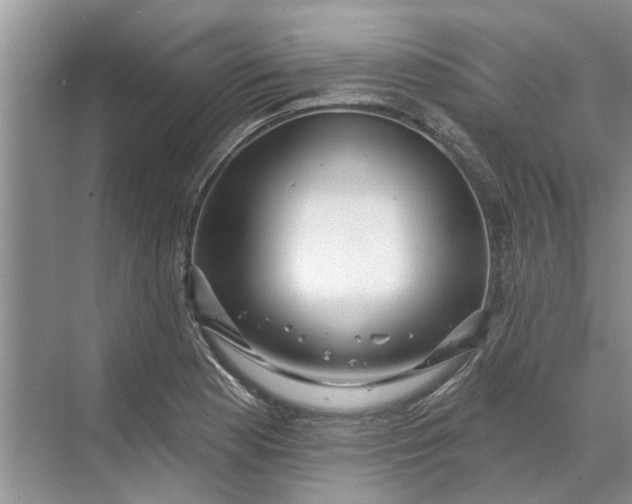 X0000070201177200606091551