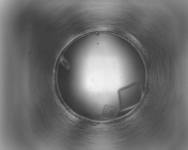 X0000070201178200606091550