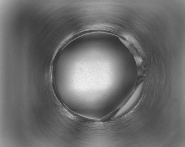 X0000070201180200606091550