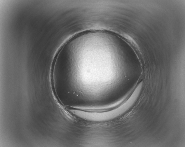 X0000070201183200606091550
