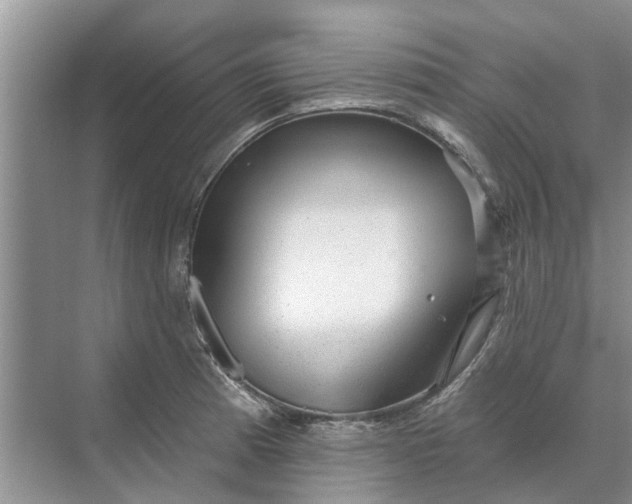 X0000070201185200606091550