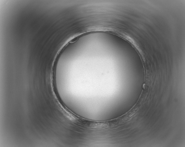 X0000070201187200606091550
