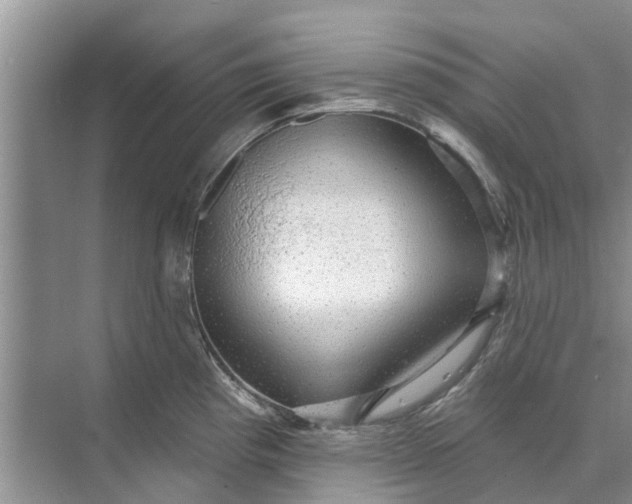 X0000070201193200606091550