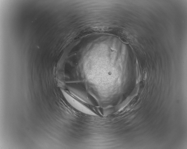 X0000070201202200606091549