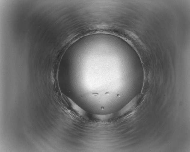 X0000070201209200606091549