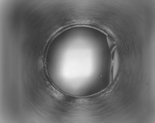 X0000070201212200606091550