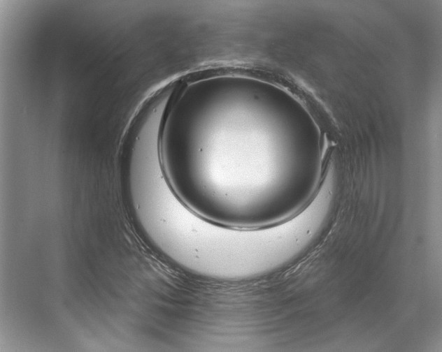 X0000070201214200606091550
