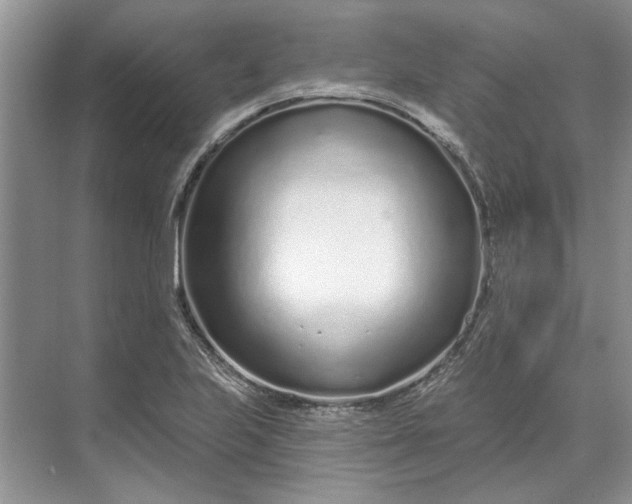 X0000070201223200606091550