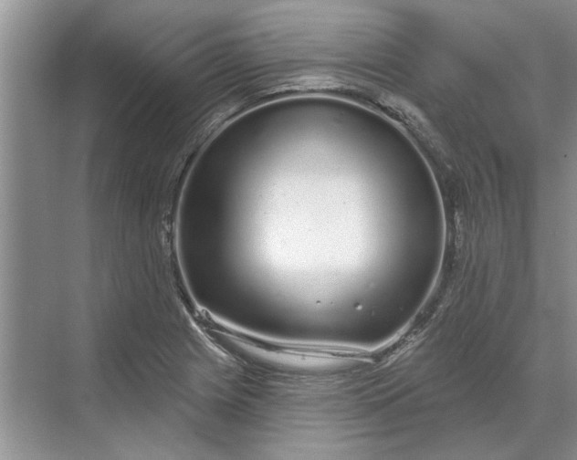 X0000070201225200606091550