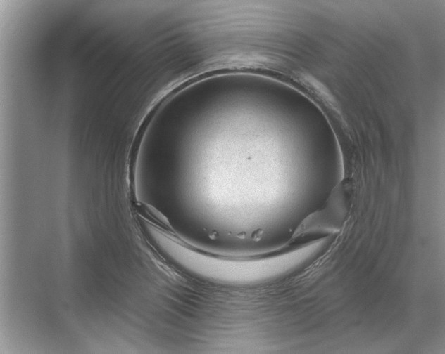 X0000070201226200606091550