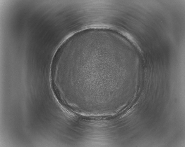 X0000070201229200606091550