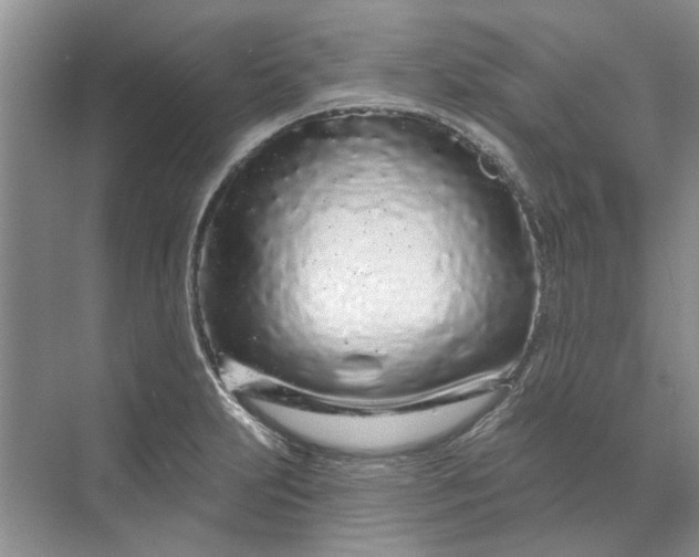 X0000070201231200606091550