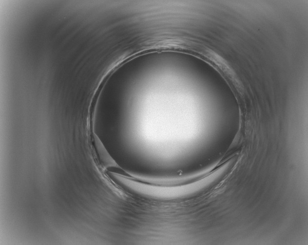 X0000070201234200606091550