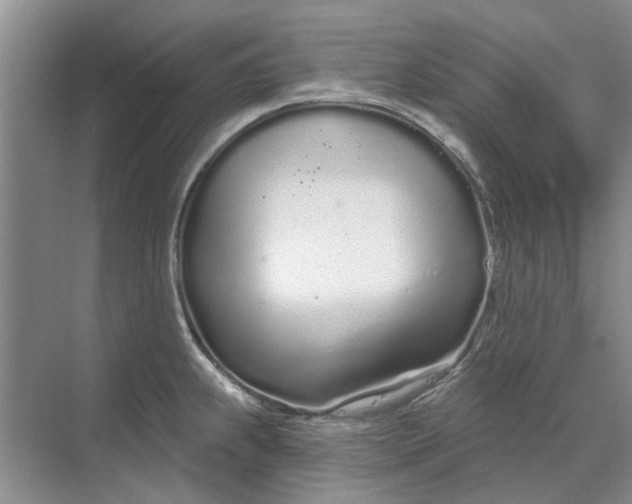 X0000070201239200606091550