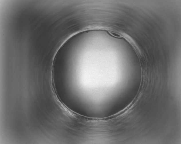 X0000070201244200606091550