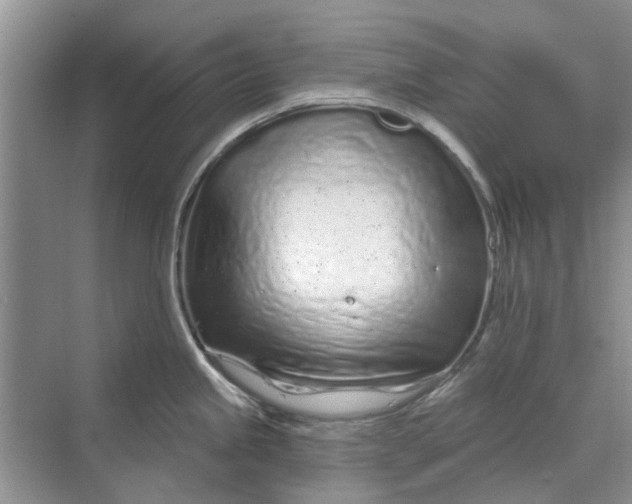 X0000070201245200606091550