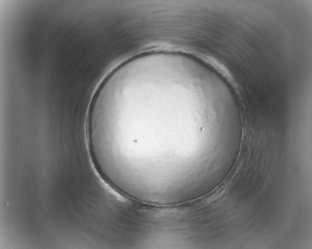 X0000070201247200606091550