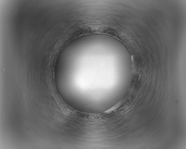 X0000070201249200606091549