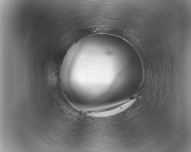 X0000070201250200606091549