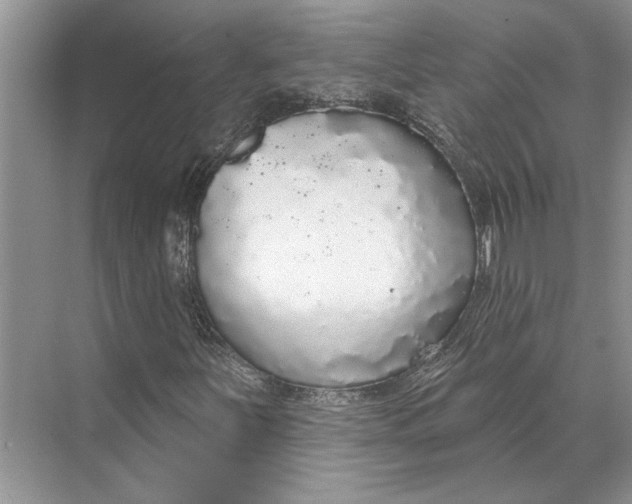 X0000070201251200606091549