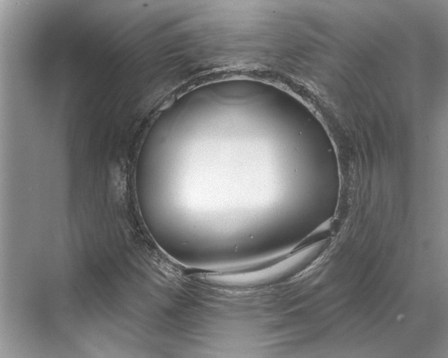 X0000070201257200606091549