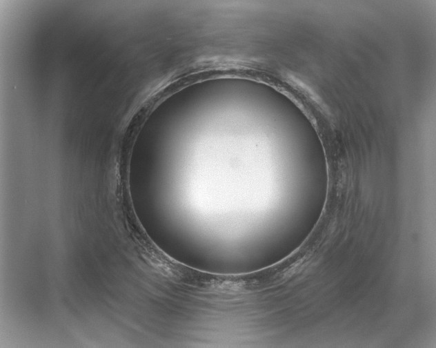 X0000070201261200606091549