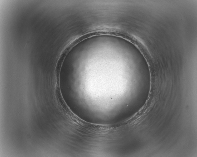 X0000070201267200606091549