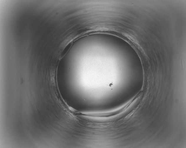 X0000070201273200606091549