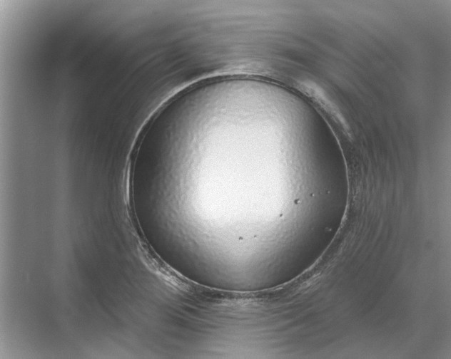 X0000070201276200606091549