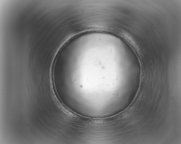 X0000070201283200606091549