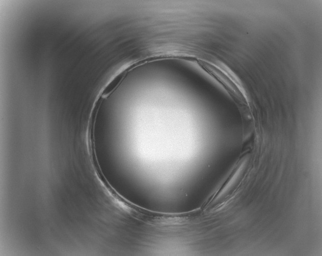 X0000070201293200606091549