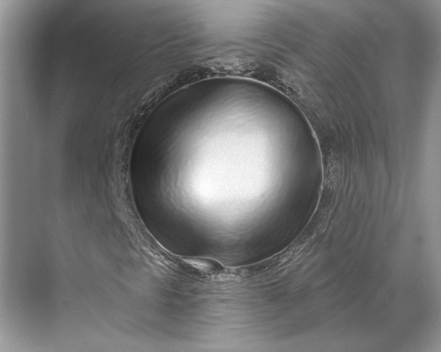 X0000070201297200606091548
