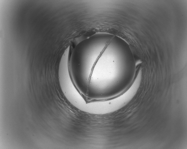 X0000070201298200606091548