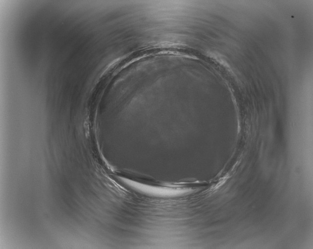 X0000070201306200606091548